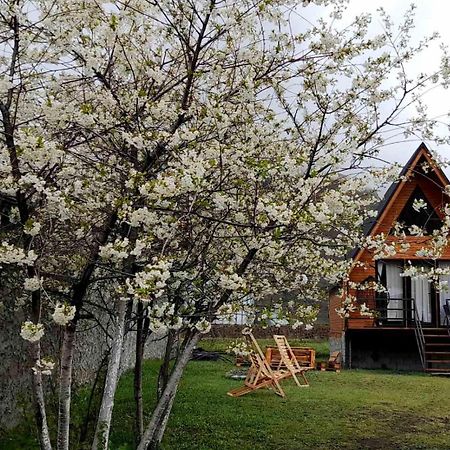 Apartamento Thomas' Hut Kazbegi Exterior foto