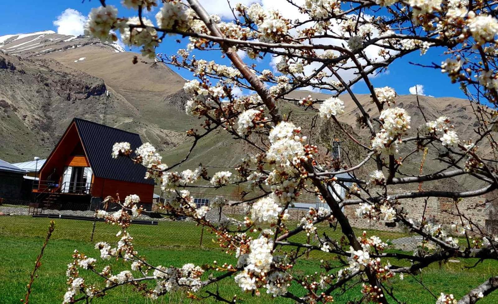 Apartamento Thomas' Hut Kazbegi Exterior foto