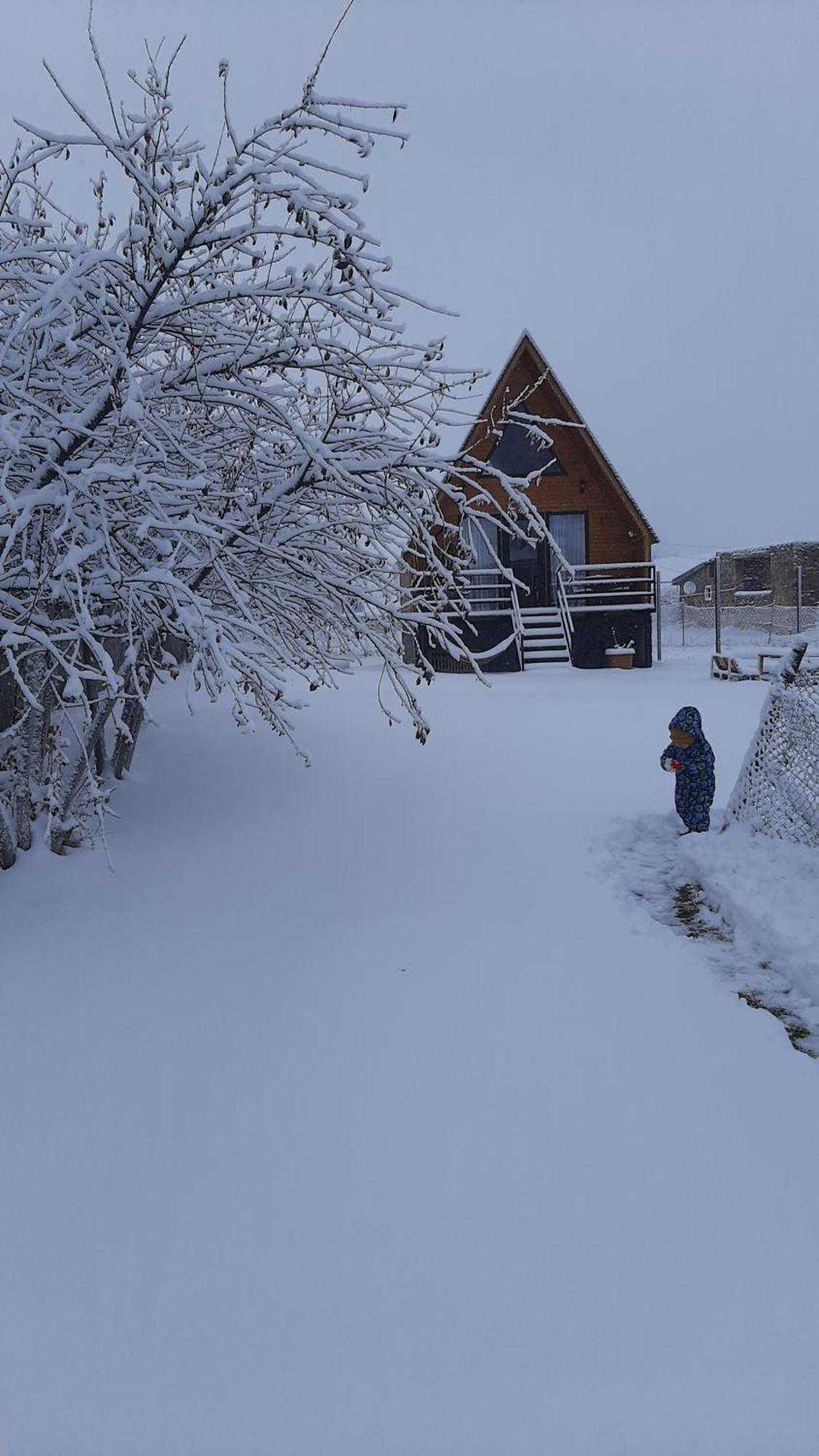 Apartamento Thomas' Hut Kazbegi Exterior foto