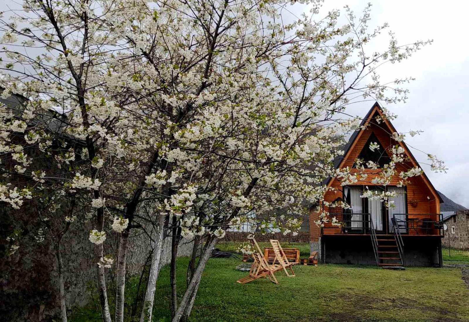 Apartamento Thomas' Hut Kazbegi Exterior foto